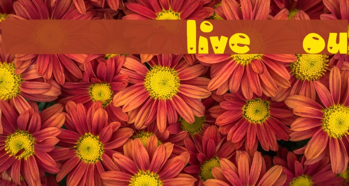 MTF Olive You Font examples