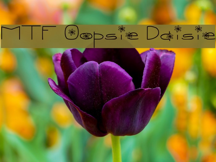 MTF Oopsie Daisie Font examples