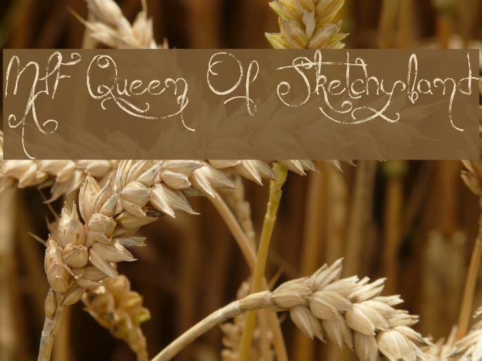 MTF Queen Of Sketchyland Font examples