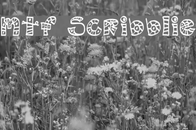 MTF Scribblie Font examples