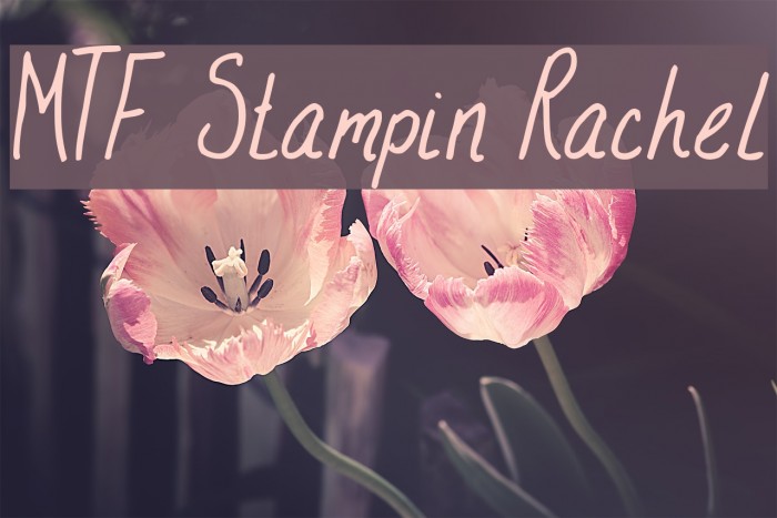 MTF Stampin Rachel Example 3