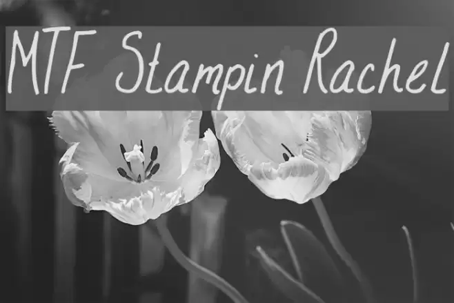 MTF Stampin Rachel Font examples