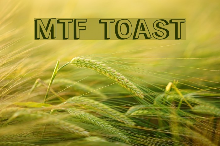 MTF Toast Font examples
