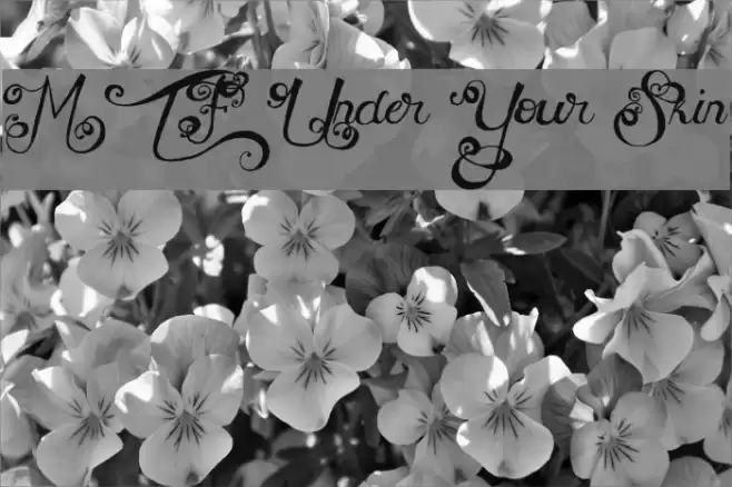 MTF Under Your Skin Font examples