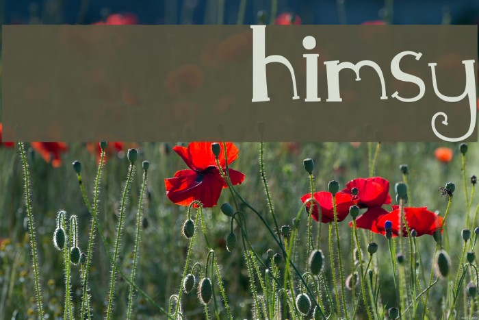 MTF Whimsy Example 2