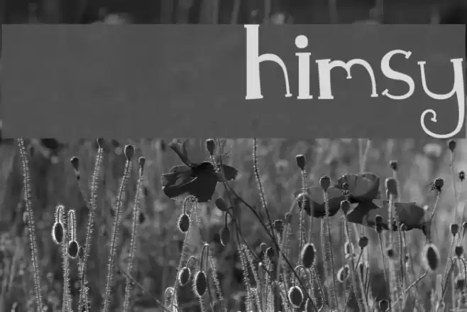 MTF Whimsy Font examples