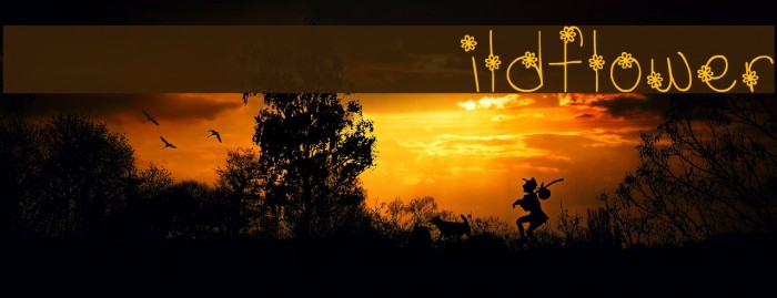 MTF Wildflower Font examples