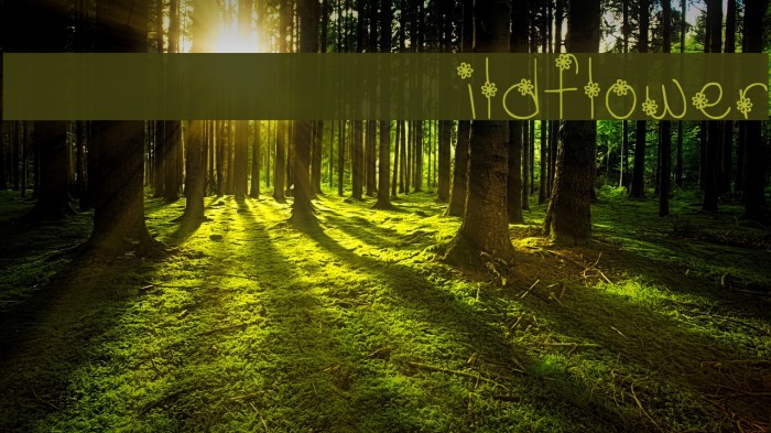 MTF Wildflower Font examples