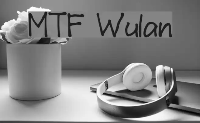 MTF Wulan Example 1