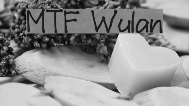 MTF Wulan Example 2