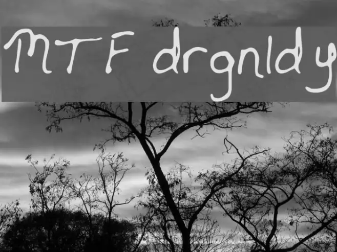 MTF drgnldy Example 1