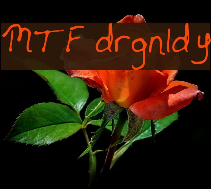 MTF drgnldy Font examples