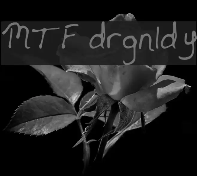 MTF drgnldy Example 3