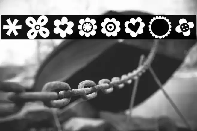 MTF100Dings Font examples