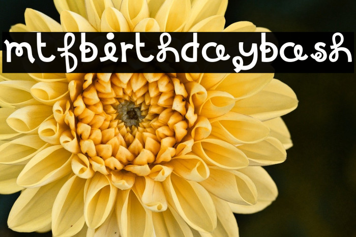 MTFBirthdayBash Example 2