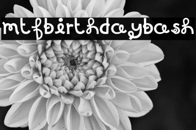 MTFBirthdayBash Example 2