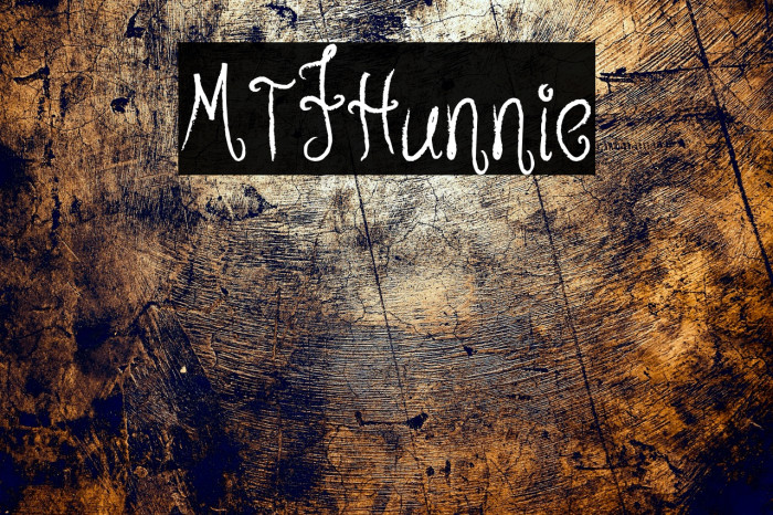 MTFHunnie Example 1