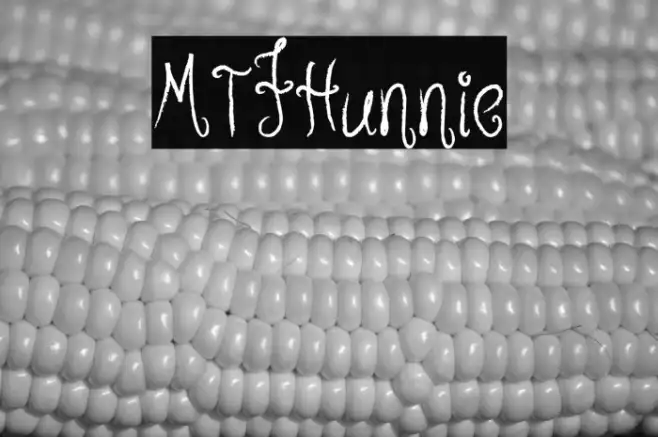 MTFHunnie Example 2