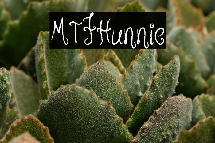 MTFHunnie Example 3