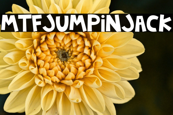 MTFJumpinJack Example 1