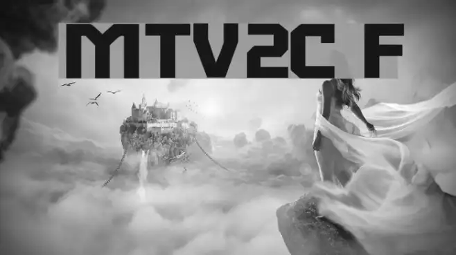 MTV2C Example 1