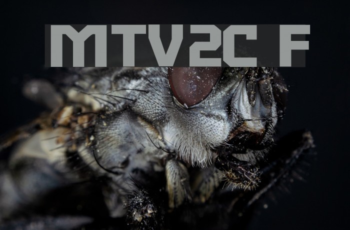 MTV2C Font examples