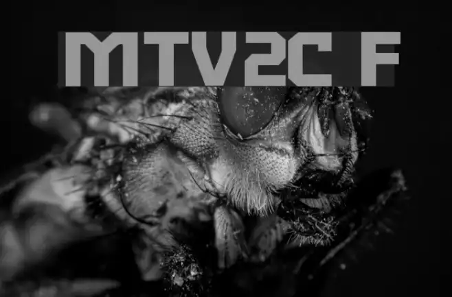 MTV2C Example 3