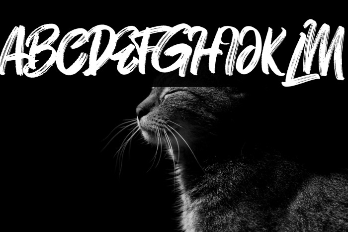 Mt. Blevas Example 2