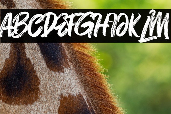 Mt. Blevas Example 3