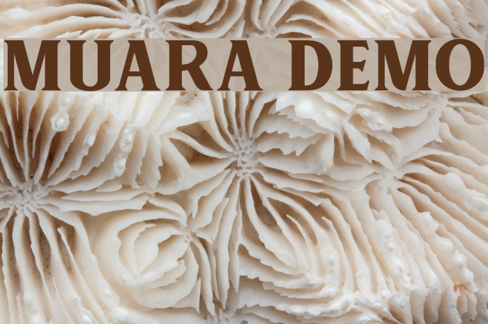 MUARA DEMO Font examples