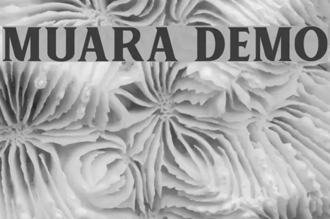 MUARA DEMO Example 1