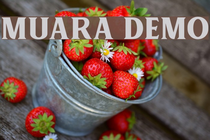 MUARA DEMO Font examples