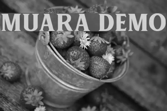 MUARA DEMO Example 2