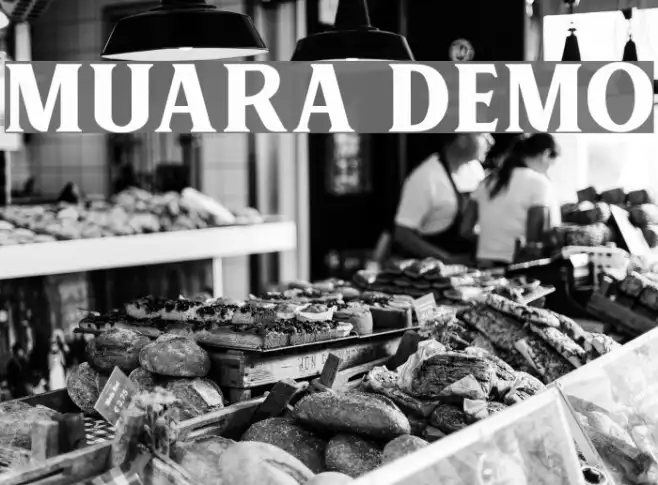 MUARA DEMO Example 3