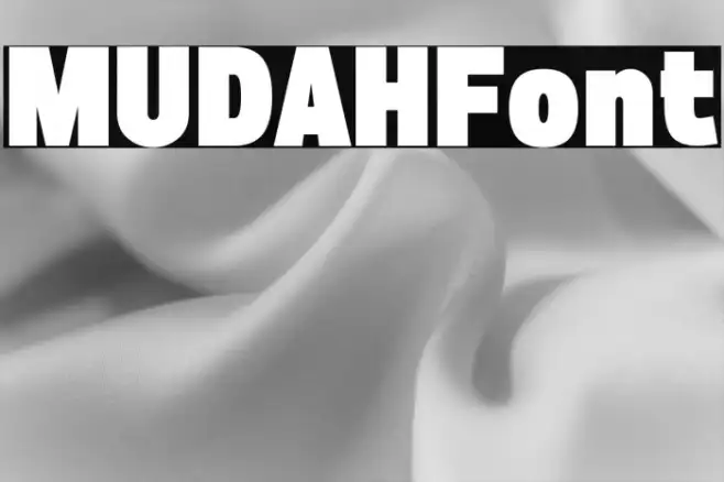 MUDAH Example 2
