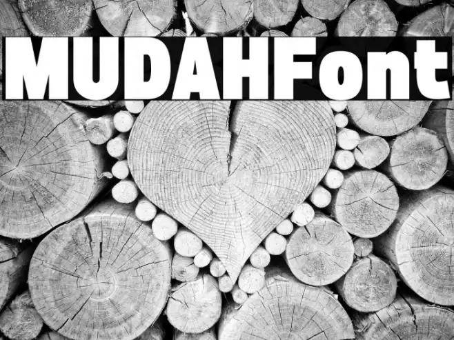 MUDAH Example 3