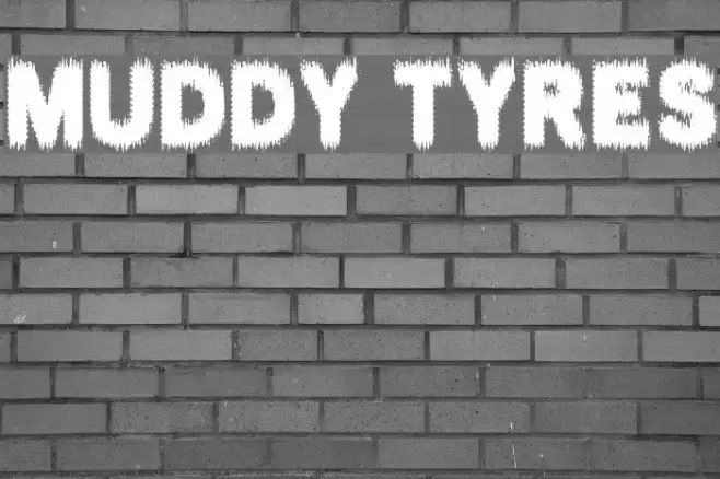 MUDDY TYRES Example 1