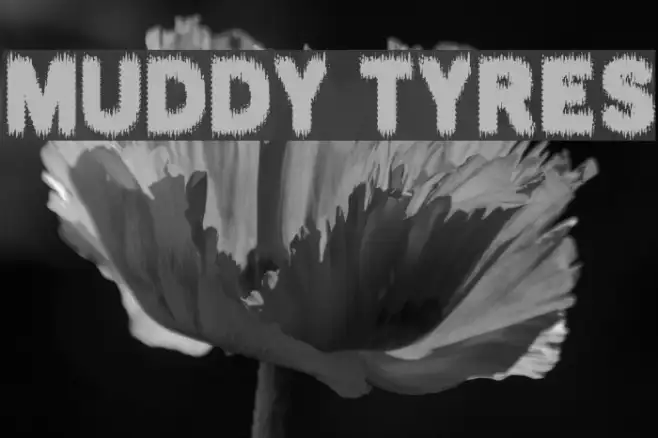 MUDDY TYRES Example 3