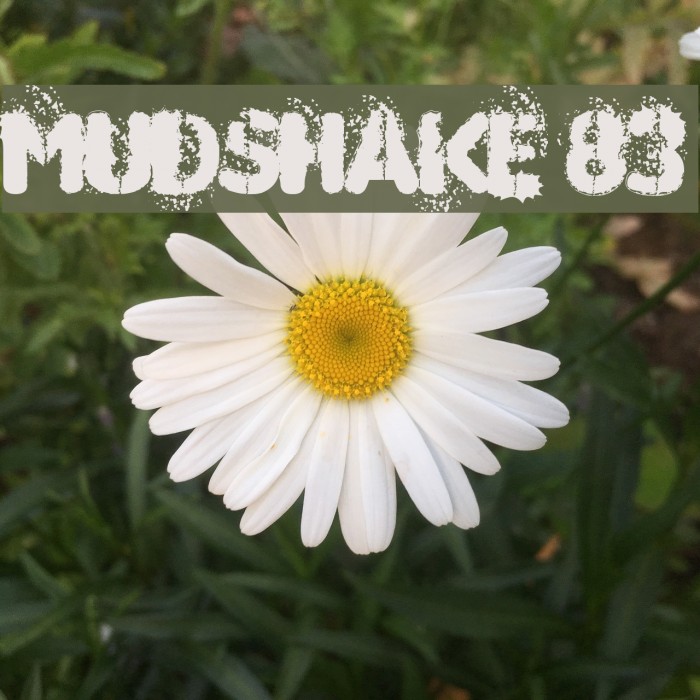 MUDSHAKE 83 Font examples