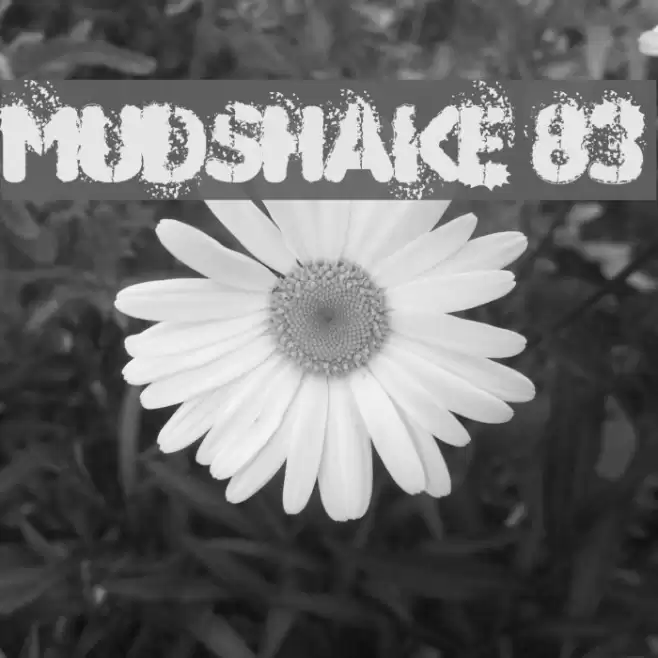 MUDSHAKE 83 Fuentes examples
