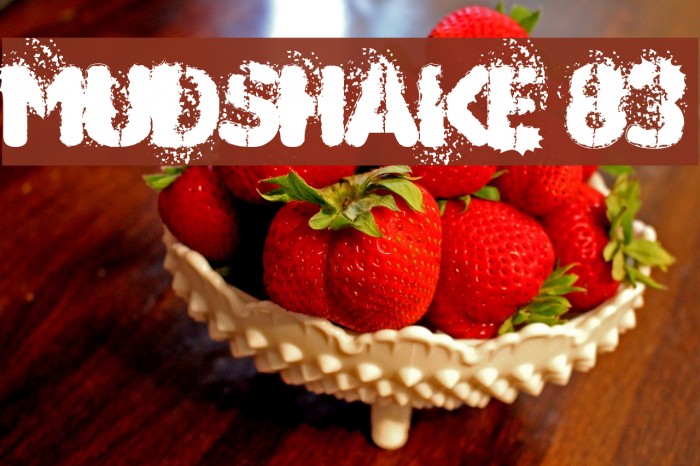 MUDSHAKE 83 Font examples