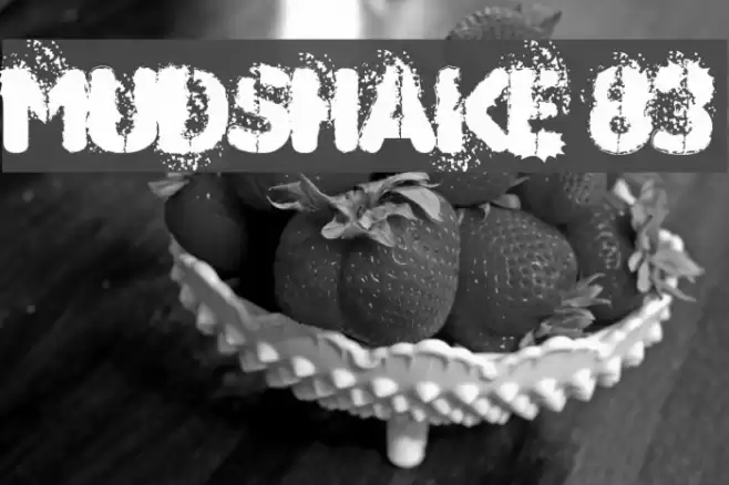 MUDSHAKE 83 Fuentes examples
