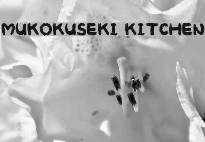 MUKOKUSEKI KITCHEN Font examples