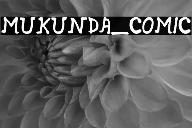 MUKUNDA_COMIC Example 2