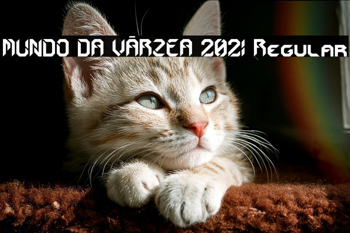 MUNDO DA VÁRZEA 2021 Regular Example 1
