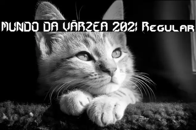 MUNDO DA VÁRZEA 2021 Regular Шрифта examples