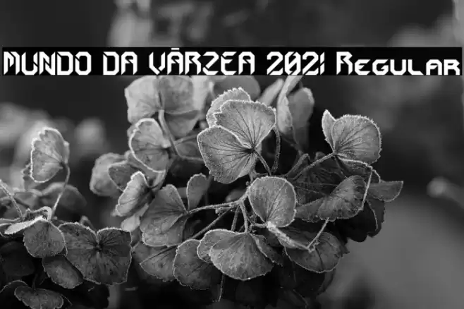 MUNDO DA VÁRZEA 2021 Regular Шрифта examples