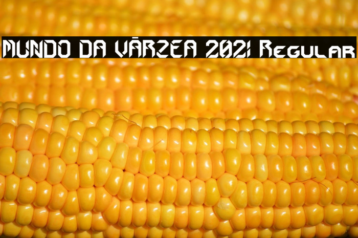 MUNDO DA VÁRZEA 2021 Regular Example 3