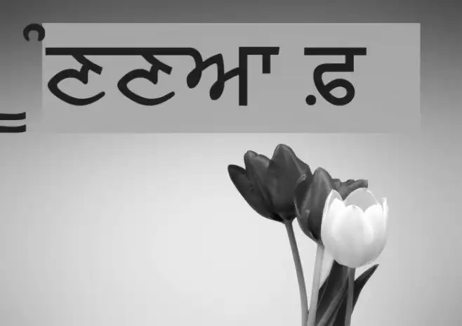 MUNNA Example 1