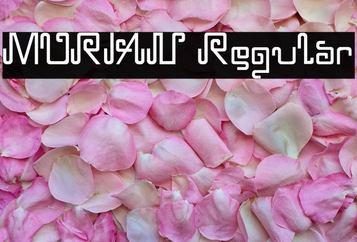 MURIAN Regular Example 2